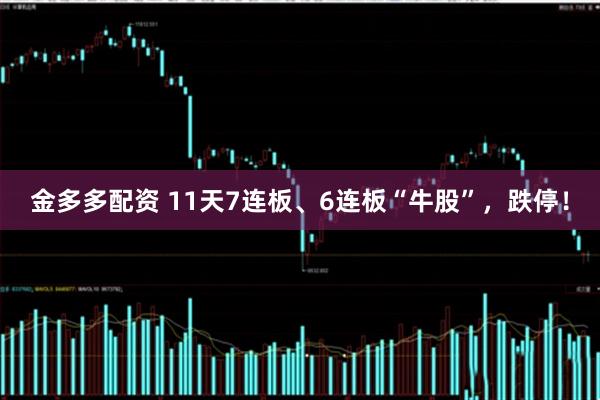 金多多配资 11天7连板、6连板“牛股”，跌停！
