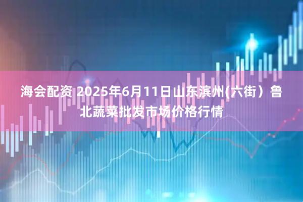 海会配资 2025年6月11日山东滨州(六街）鲁北蔬菜批发市场价格行情