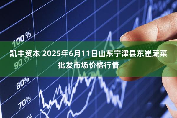 凯丰资本 2025年6月11日山东宁津县东崔蔬菜批发市场价格行情