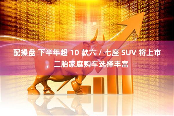 配操盘 下半年超 10 款六 / 七座 SUV 将上市，二胎家庭购车选择丰富