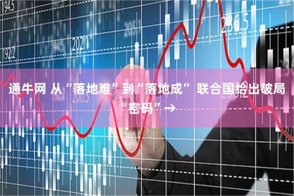 通牛网 从“落地难”到“落地成” 联合国给出破局“密码”→