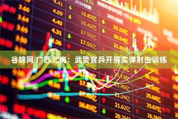 谷锦网 广西北海：武警官兵开展实弹射击训练
